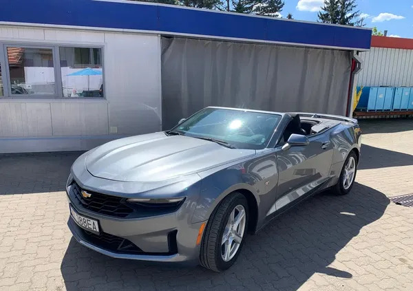 chevrolet camaro korsze Chevrolet Camaro cena 126000 przebieg: 23000, rok produkcji 2020 z Korsze